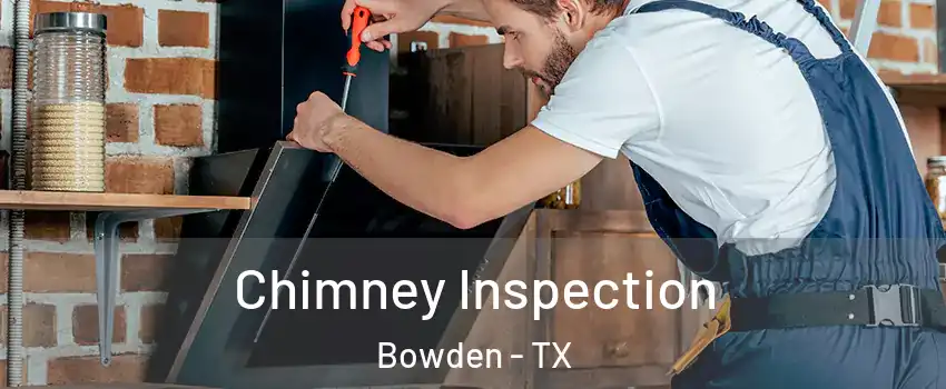 Chimney Inspection Bowden - TX
