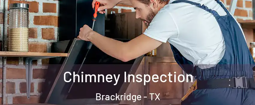 Chimney Inspection Brackridge - TX