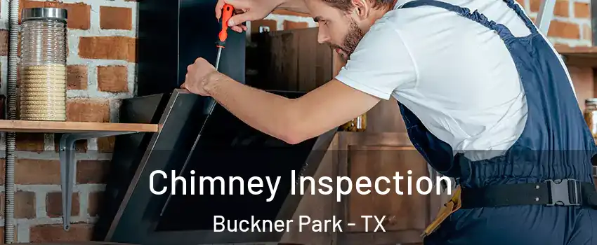 Chimney Inspection Buckner Park - TX