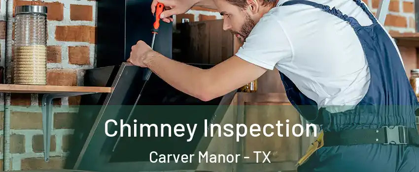 Chimney Inspection Carver Manor - TX