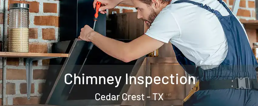 Chimney Inspection Cedar Crest - TX