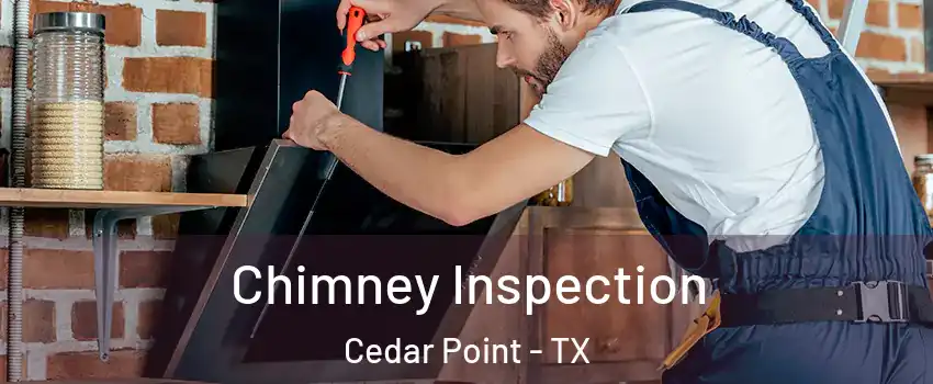 Chimney Inspection Cedar Point - TX