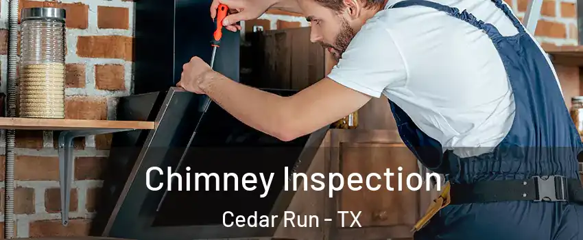 Chimney Inspection Cedar Run - TX