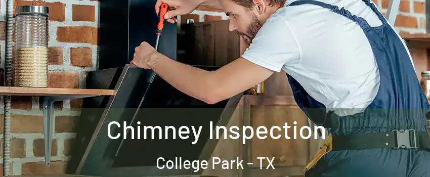 Chimney Inspection College Park - TX