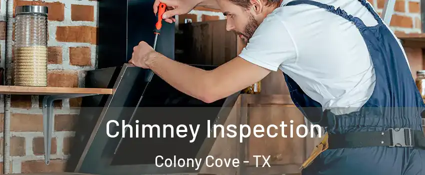 Chimney Inspection Colony Cove - TX