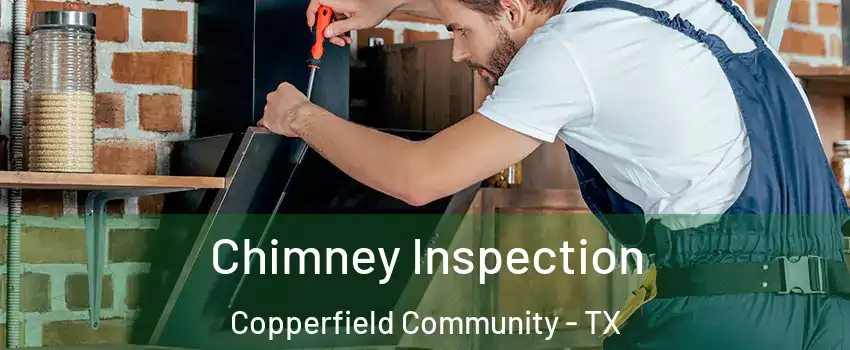Chimney Inspection Copperfield Community - TX