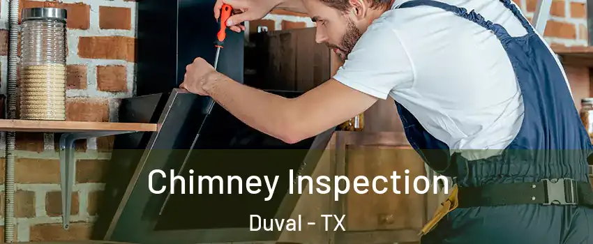Chimney Inspection Duval - TX