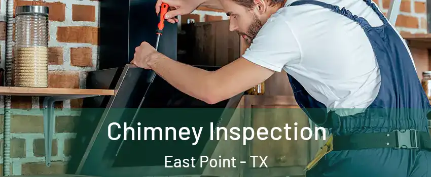 Chimney Inspection East Point - TX