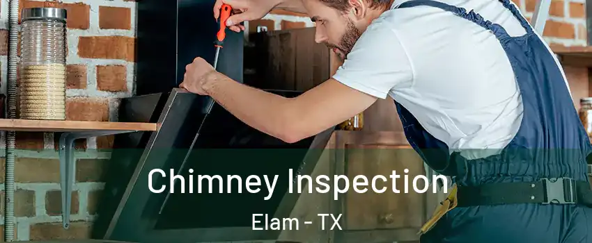 Chimney Inspection Elam - TX