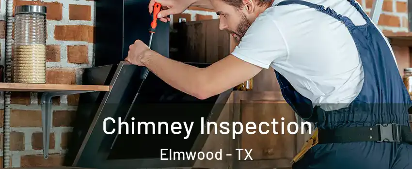 Chimney Inspection Elmwood - TX