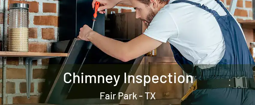 Chimney Inspection Fair Park - TX