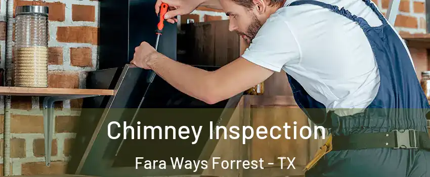 Chimney Inspection Fara Ways Forrest - TX
