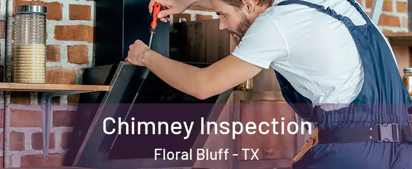 Chimney Inspection Floral Bluff - TX