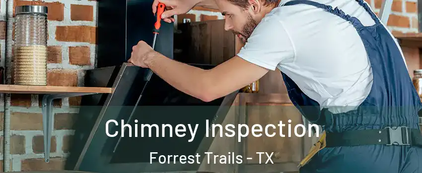 Chimney Inspection Forrest Trails - TX