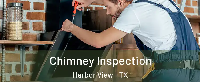 Chimney Inspection Harbor View - TX