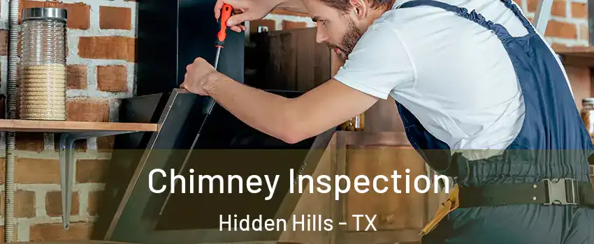 Chimney Inspection Hidden Hills - TX