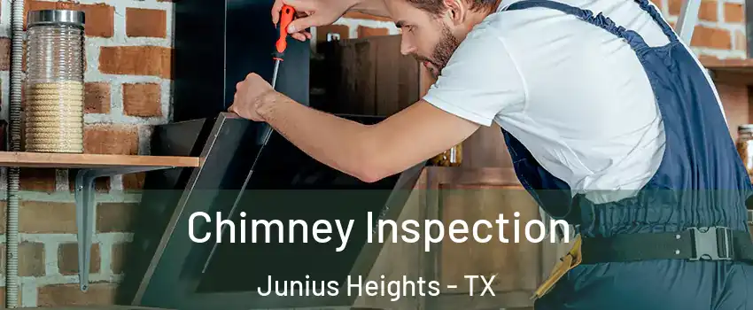 Chimney Inspection Junius Heights - TX