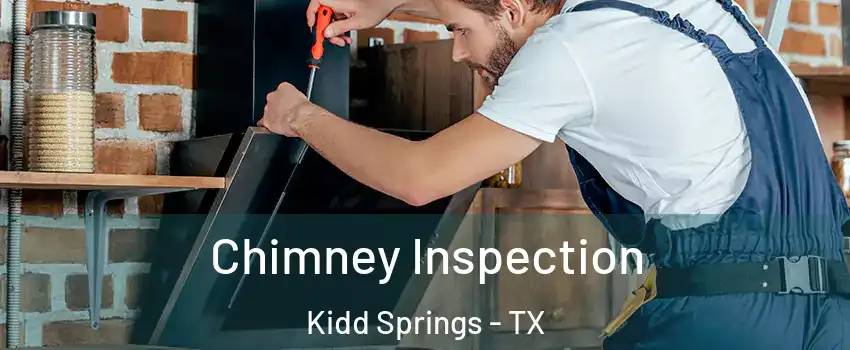 Chimney Inspection Kidd Springs - TX