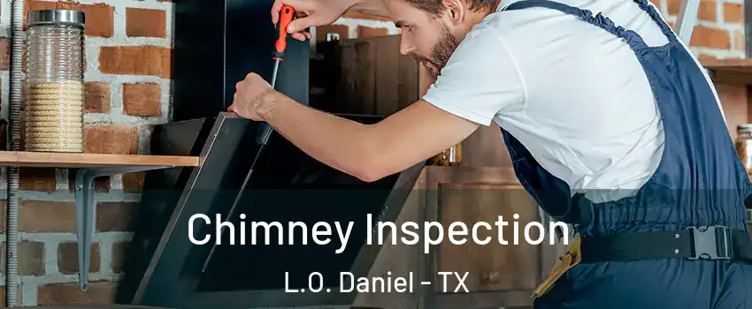 Chimney Inspection L.O. Daniel - TX
