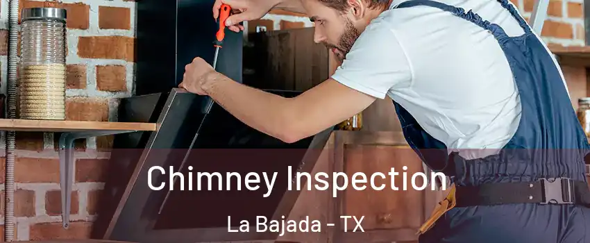 Chimney Inspection La Bajada - TX