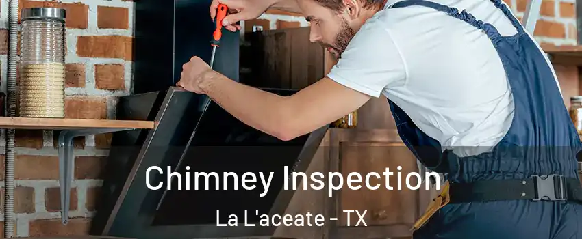 Chimney Inspection La L'aceate - TX