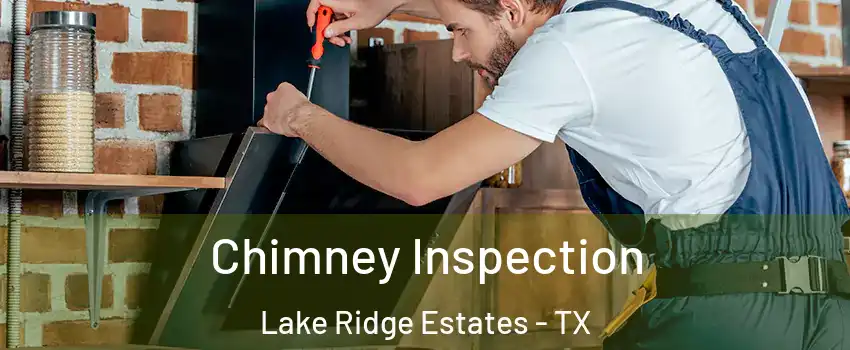 Chimney Inspection Lake Ridge Estates - TX