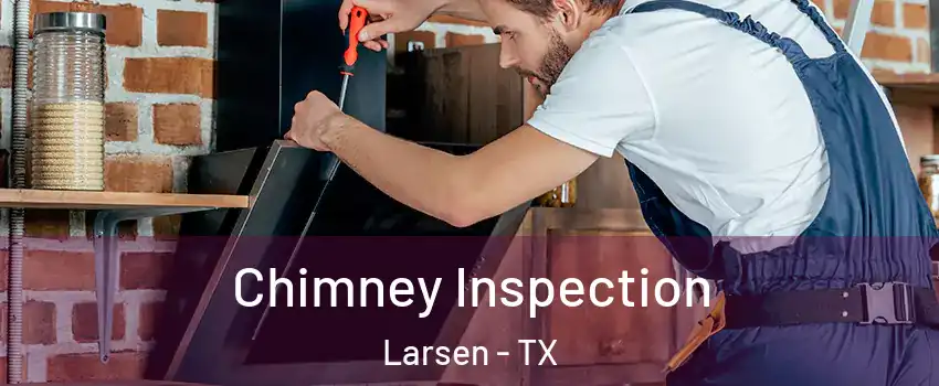 Chimney Inspection Larsen - TX