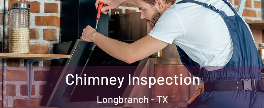 Chimney Inspection Longbranch - TX