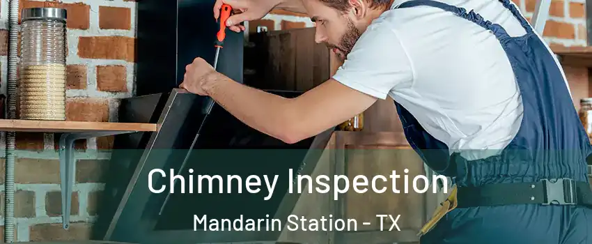 Chimney Inspection Mandarin Station - TX