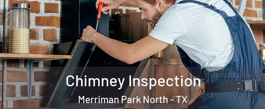 Chimney Inspection Merriman Park North - TX