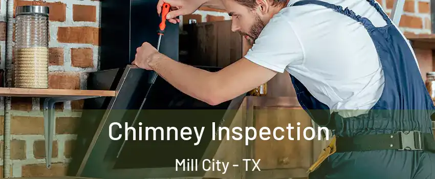 Chimney Inspection Mill City - TX