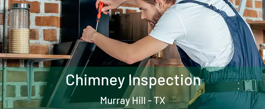 Chimney Inspection Murray Hill - TX