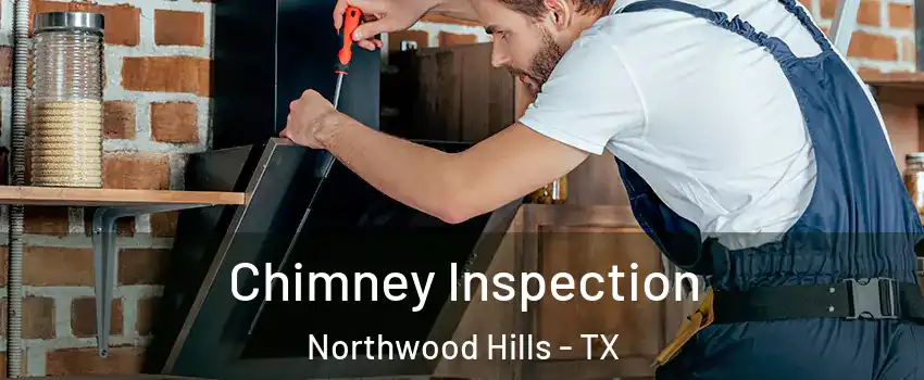 Chimney Inspection Northwood Hills - TX