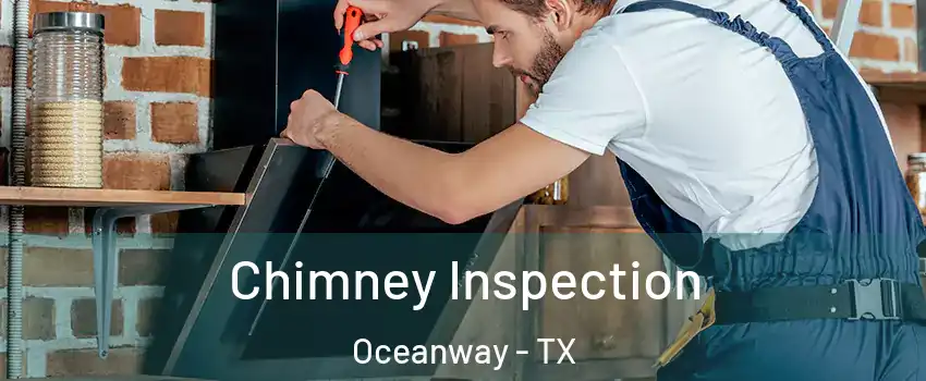 Chimney Inspection Oceanway - TX