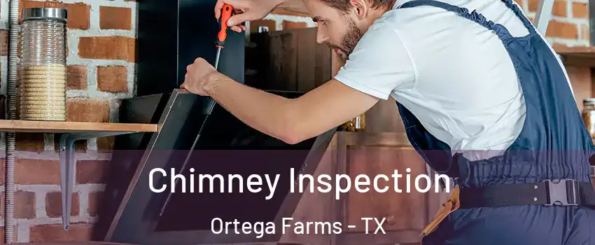 Chimney Inspection Ortega Farms - TX