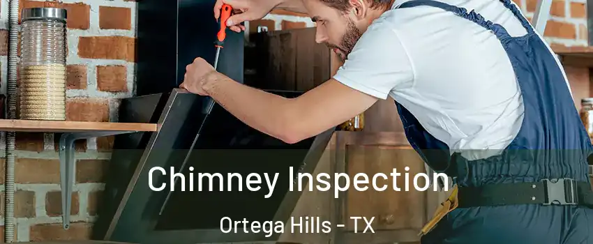 Chimney Inspection Ortega Hills - TX