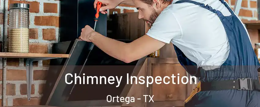 Chimney Inspection Ortega - TX