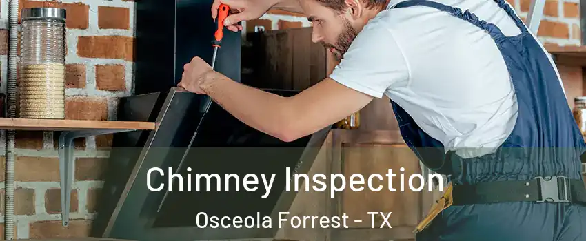 Chimney Inspection Osceola Forrest - TX