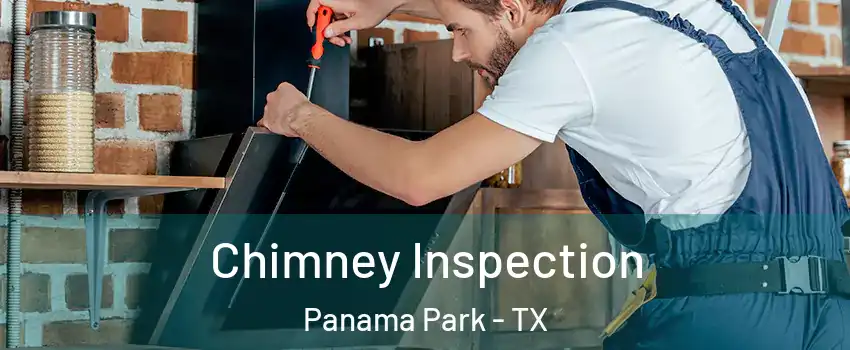 Chimney Inspection Panama Park - TX