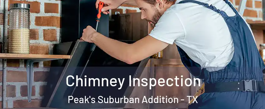 Chimney Inspection Peak's Suburban Addition - TX