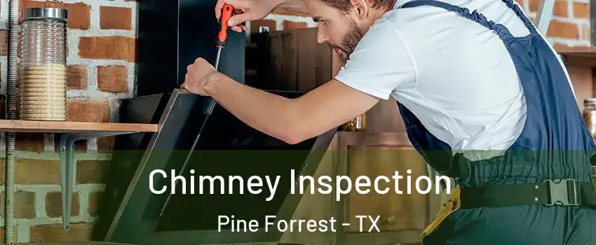 Chimney Inspection Pine Forrest - TX