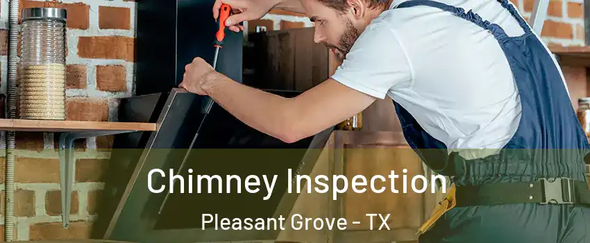 Chimney Inspection Pleasant Grove - TX