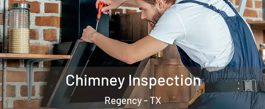 Chimney Inspection Regency - TX