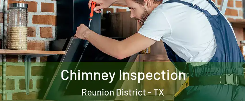 Chimney Inspection Reunion District - TX