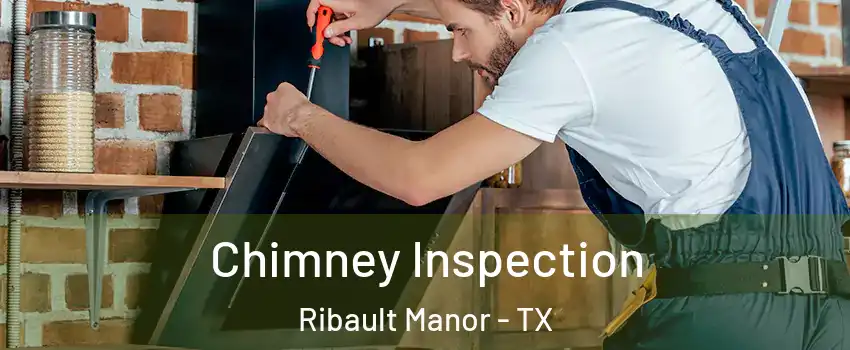 Chimney Inspection Ribault Manor - TX