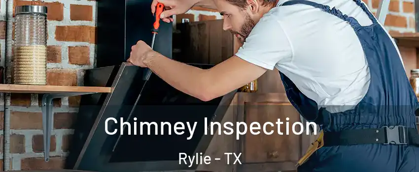 Chimney Inspection Rylie - TX