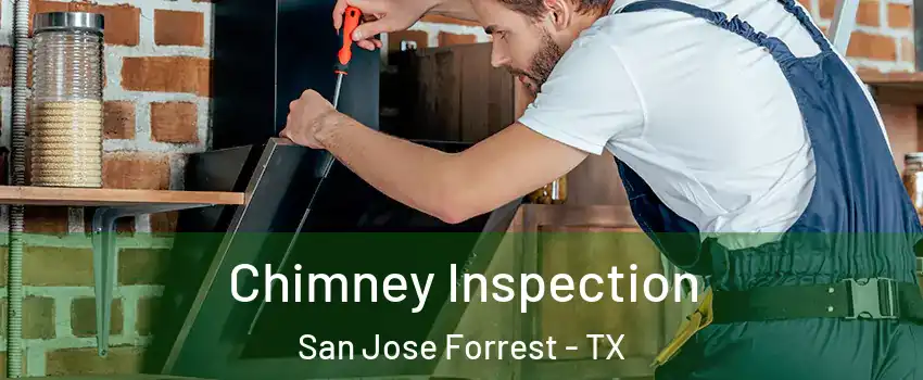 Chimney Inspection San Jose Forrest - TX