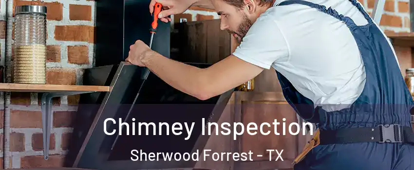 Chimney Inspection Sherwood Forrest - TX