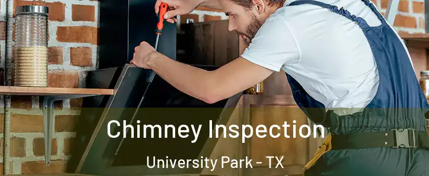 Chimney Inspection University Park - TX
