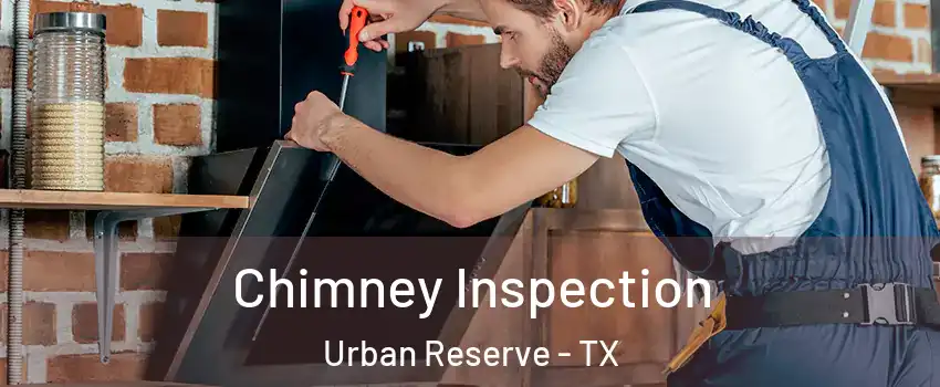 Chimney Inspection Urban Reserve - TX
